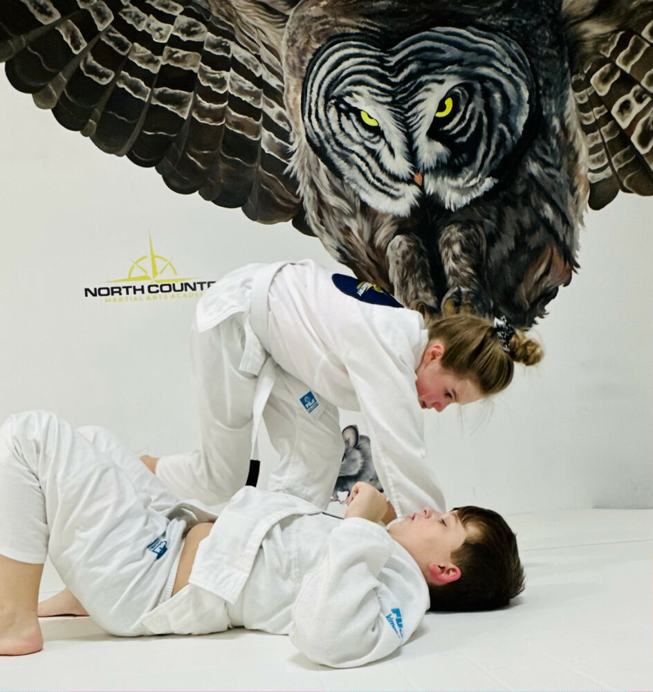 North Country Martial Arts Academy Gallery Photo Number 3